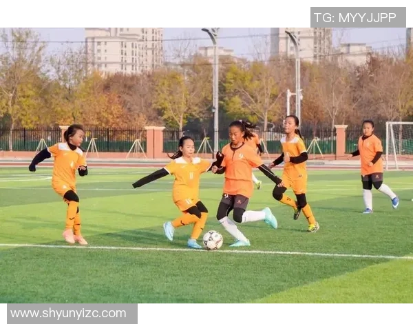 聚焦足球星志展现绿茵英雄风采书写传奇荣耀与激情岁月 聚焦足球星志展现绿茵英雄风采书写传奇荣耀与激情岁月