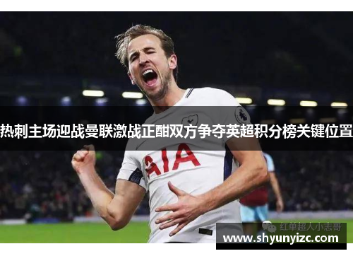 热刺主场迎战曼联激战正酣双方争夺英超积分榜关键位置