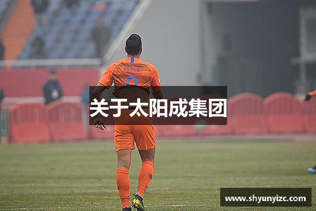 关于太阳成集团